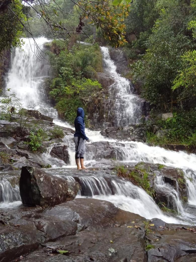 Soluna Veg - Diárias de Quartos e Chalés na temporada Florianópolis Esterno foto