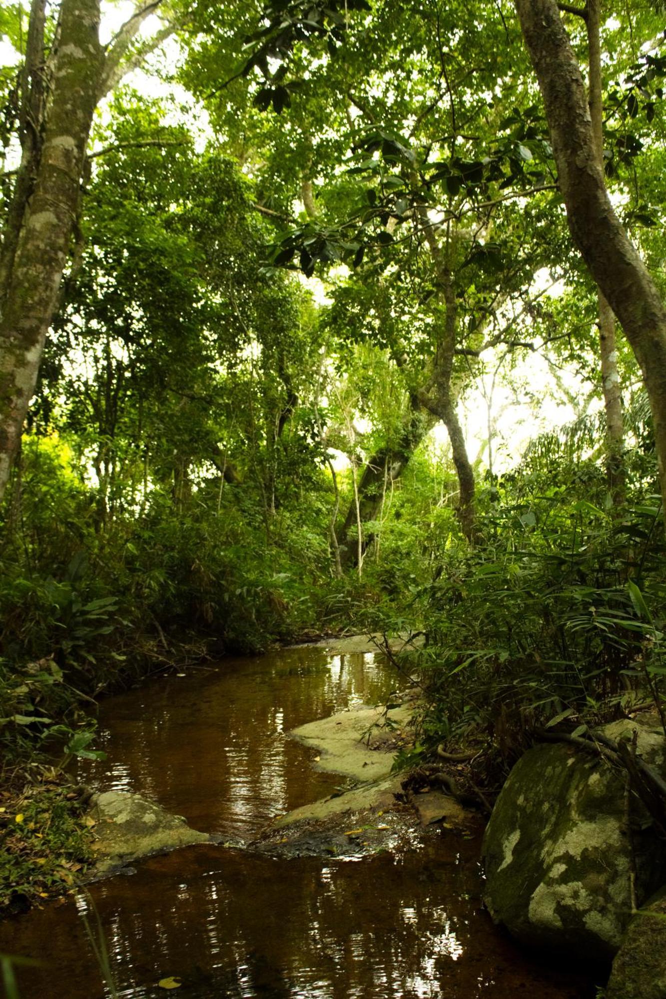 Soluna Veg - Diárias de Quartos e Chalés na temporada Florianópolis Esterno foto